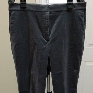 Ann Taylor Faux Velvet Dress Pants, NWT, Size 12
